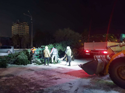 В Павлодаре из-за штормового ветра упала главная елка города