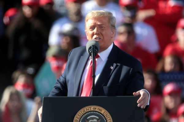 &laquo;&lrm;Других вариантов нет&raquo;: кому на самом деле выгоден слив файлов Эпштейна