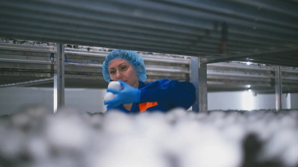 Агрокомплекс в Елабуге пошел на мировую с кредиторами и выплатит 2,4 миллиарда