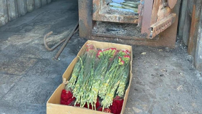 Крупную партию цветов из Китая сожгли после проверки в аэропорту Астаны
