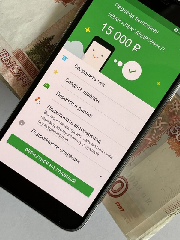 В Челнах переводчик лишился 130 тысяч рублей, попав на фейк-проект