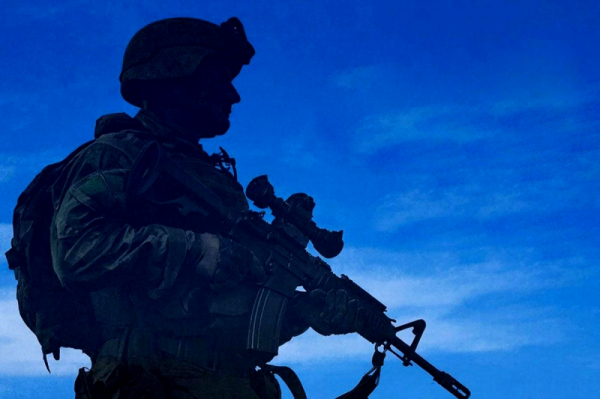 &laquo;Режим одного окна&raquo; и цифровизация: Вологодчина стала флагманом по соцподдержке бойцов СВО