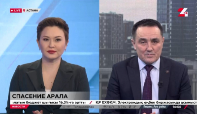Что может предложить Казахстан для решения проблемы Арала?