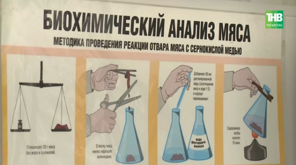 &laquo;Бирка нарисована маркером&raquo;: в Татарстане ищут владельца телят, выброшенных в овраг