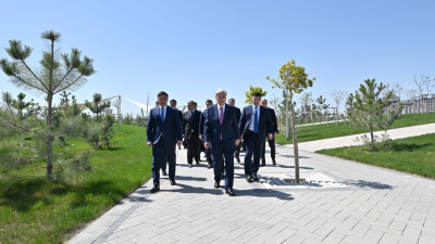 Президент посадил дерево в парке Shymkent City