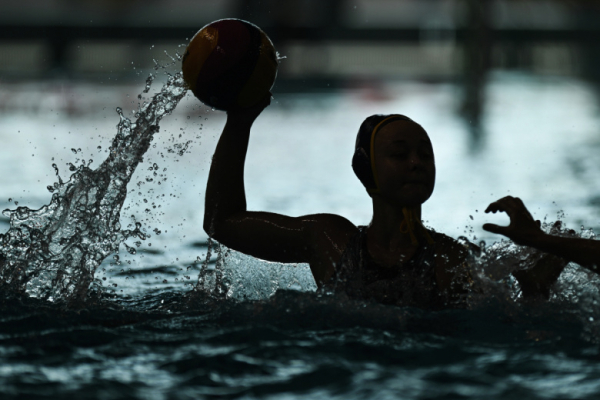 В ГД объяснили, почему Украина испугалась играть с Россией в водное воло