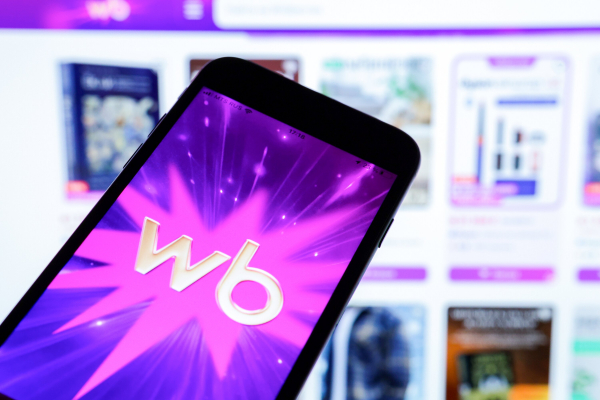 Wildberries временно приостановил работу складов в Шушарах и Уткиной Заводи
