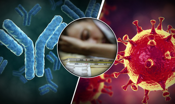 &laquo;КоммерсантЪ&raquo;: заболеваемость сифилисом в России выросла на 63% за четыре года