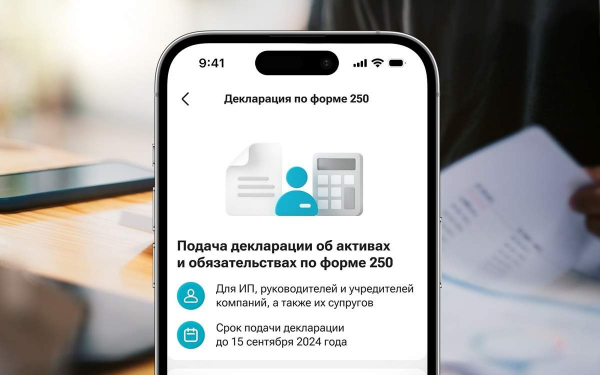 Декларации онлайн: Какие удобства предлагает мобильное приложение Kaspi.kz