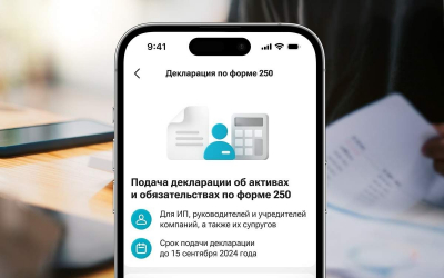 Декларации онлайн: Какие удобства предлагает мобильное приложение Kaspi.kz