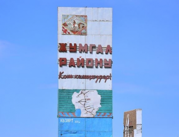 В Жумгале выявили незаконную передачу 104 га земли лесхоза