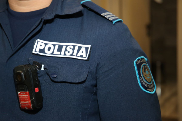 Троих иностранцев оштрафовали и выдворили из РК за двойное гражданство