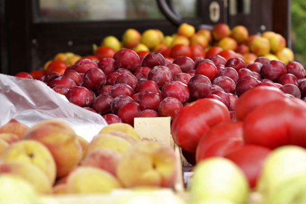 Более 350 тонн продукции привезут фермеры двух областей в Астану