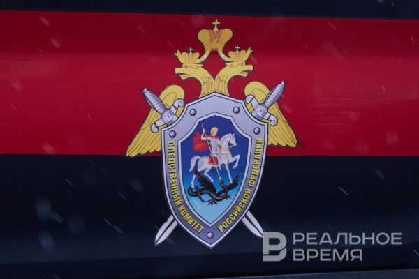 Логистическая компания &laquo;Трансакон&raquo; из Татарстана уклонялась от налогов более чем на 40 млн рублей