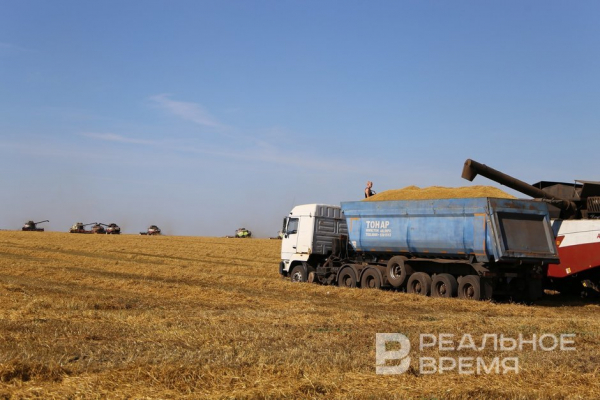 СМИ: в России задумались о переходе аграриев на печное топливо