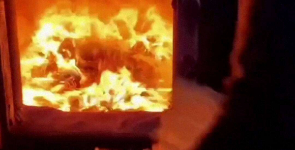 Где и как уничтожают изъятые наркотики, рассказали в МВД (видео)