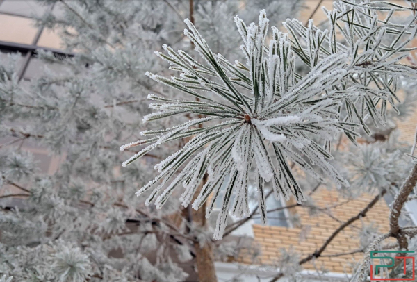 В ночь на 3 февраля в Татарстане ожидаются морозы до минус 30 градусов