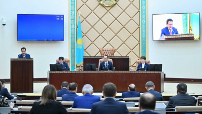 Сенат одобрил закон о сотрудничестве Казахстана и Турции в области карантина растений