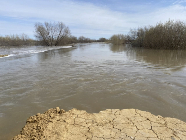 Приморье создан мобильный щит: система защиты от наводнений готова к любым ЧС