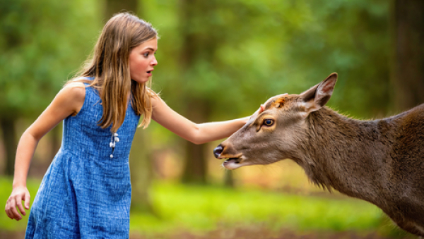 В крымских лесах можно будет потрогать оленей за нос