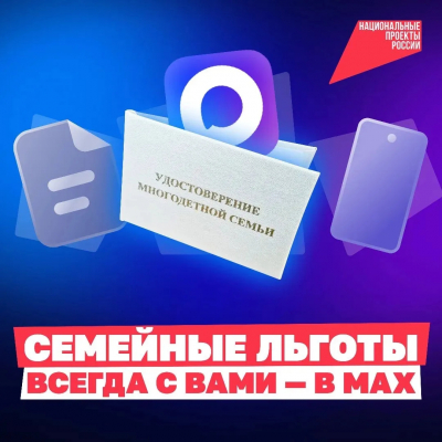 Татарстанцы могут сделать цифровое удостоверение многодетной семьи в MAX