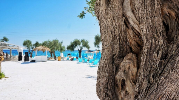 АТОР сообщила о&nbsp;5&nbsp;тысячах россиян, застрявших на&nbsp;тропических островах