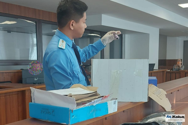 В Атырау дело об убийстве Яны Легкодимовой может получить продолжение