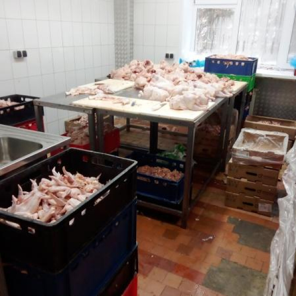 В Казани у производителя мясной продукции изъяли почти 700 килограммов бройлеров с сальмонеллой