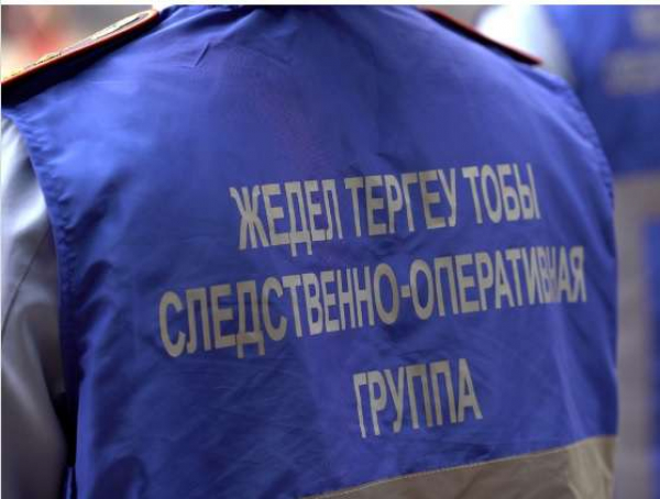 Двое малышей погибли после травли клопов в Актау