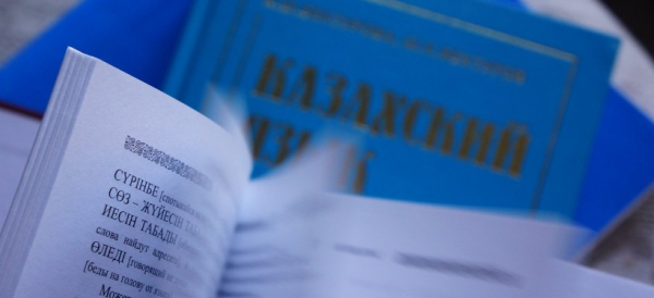 Концепцию развития языковой политики до 2029 года утвердили в РК