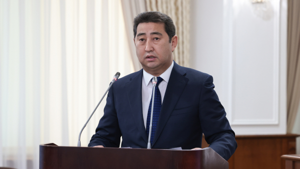 Рекордный урожай подтверждает эффективность аграрной политики Казахстана