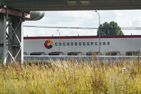 В сосисках халяль, которые производят в Челнах, нашли кусок металла