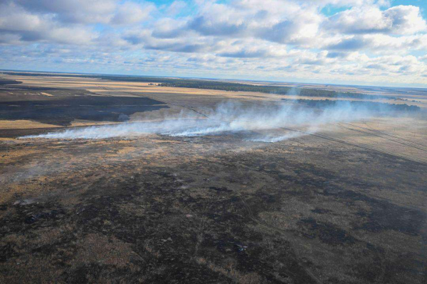 Лесной пожар в области Абай полностью локализован