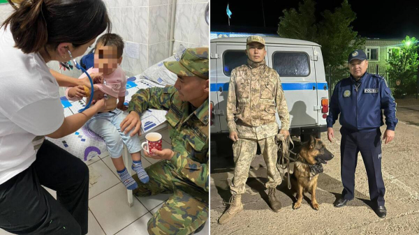 Трехлетнюю девочку искали в степи ЗКО