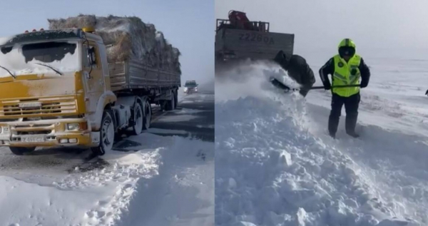 Спасение на трассе: Полицейские не оставили в беде замерзшего водителя КамАЗа