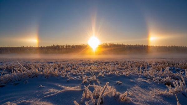 Сибирские морозы в Татарстане &mdash; серьезная аномалия, заявил профессор КФУ