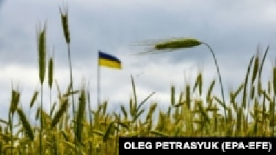 Отмена зерновой сделки вызвала рост мировых цен на пшеницу и кукурузу